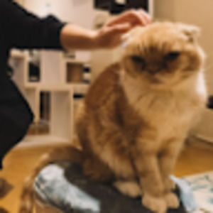 Meet your Posher, Grilled